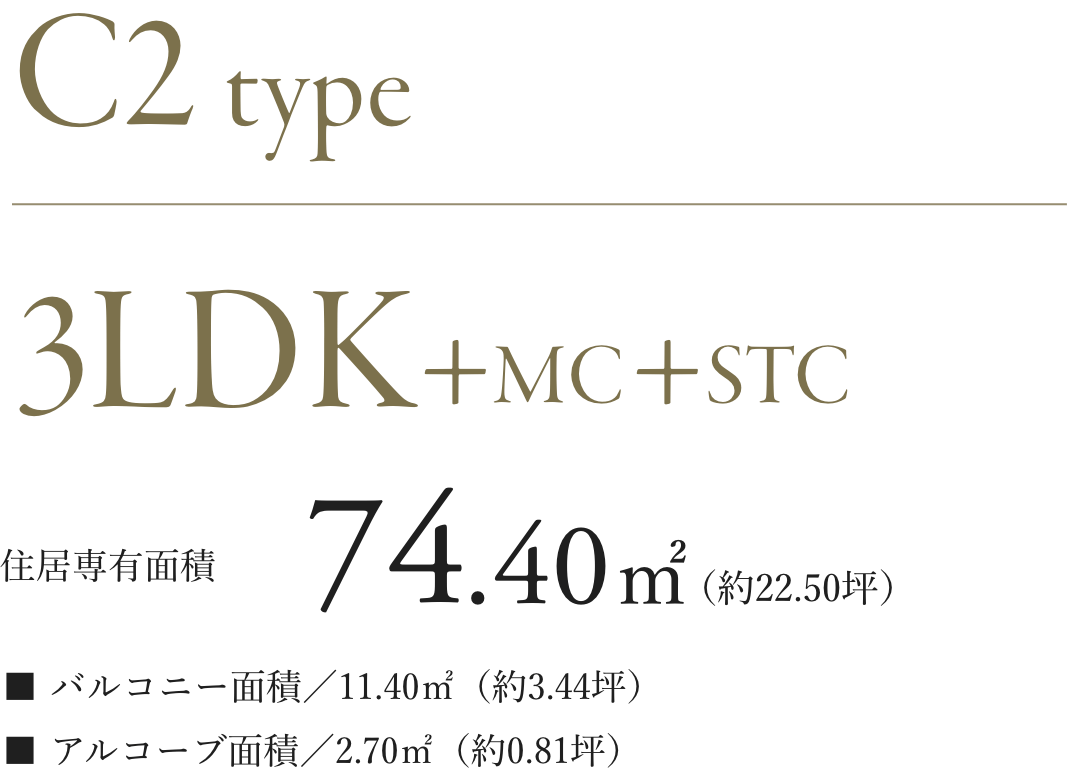 c2type詳細