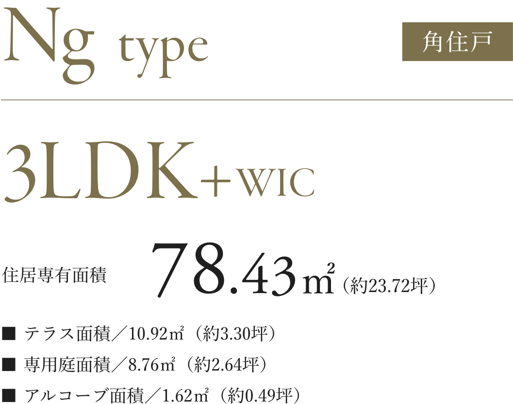 ngtype詳細